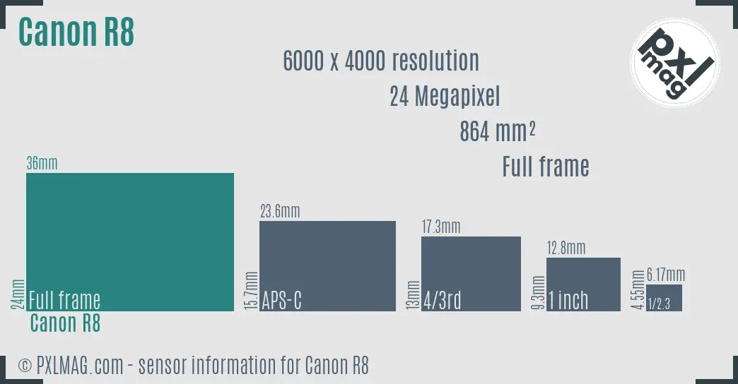 Canon EOS R8 sensor size