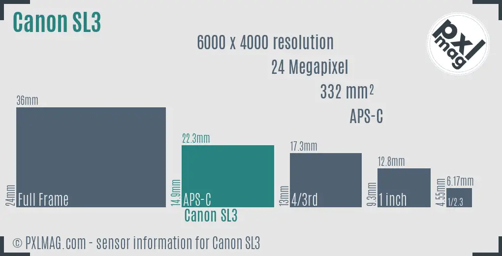 Canon EOS Rebel SL3 sensor size