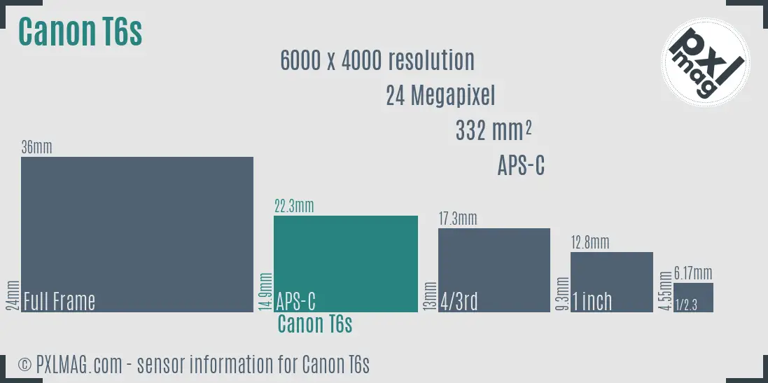 Canon EOS Rebel T6s sensor size