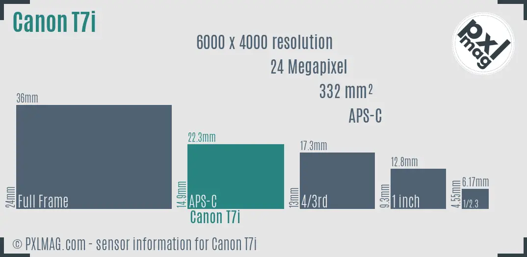 Canon EOS Rebel T7i sensor size