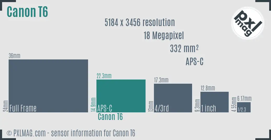 Canon EOS T6 sensor size