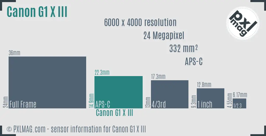 Canon PowerShot G1 X Mark III sensor size