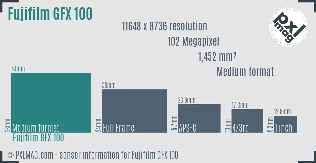 Fujifilm GFX 100 sensor size