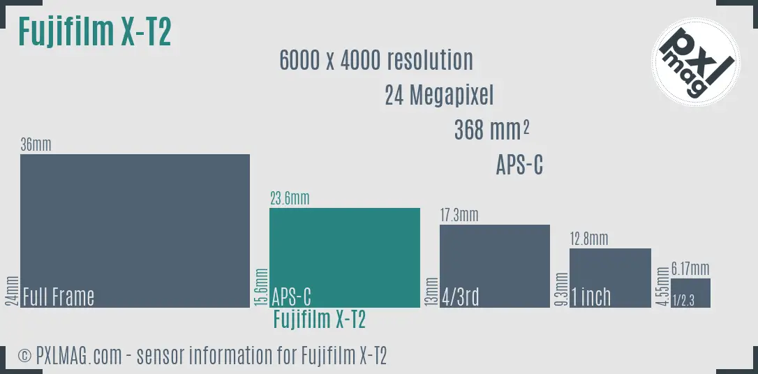 Fujifilm X-T2 sensor size