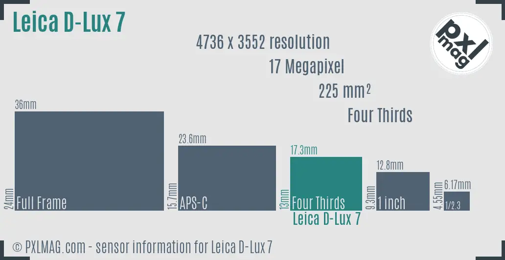Leica D-Lux 7 sensor size
