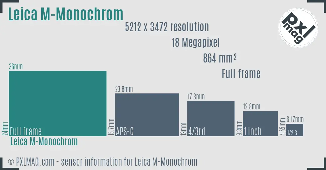 Leica M-Monochrom sensor size
