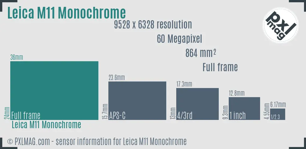 Leica M11 Monochrome sensor size
