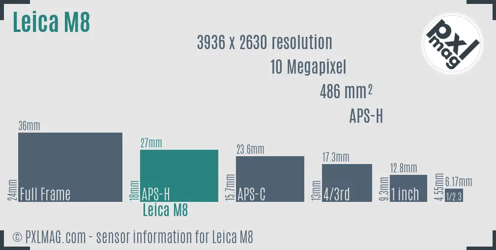 Leica M8 sensor size