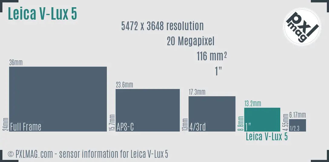 Leica V-Lux 5 sensor size