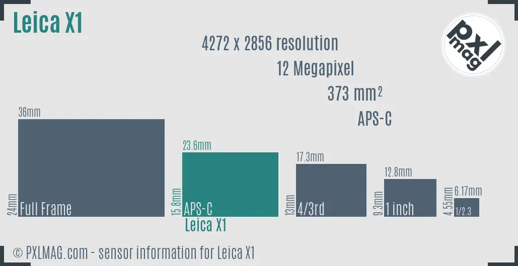 Leica X1 sensor size