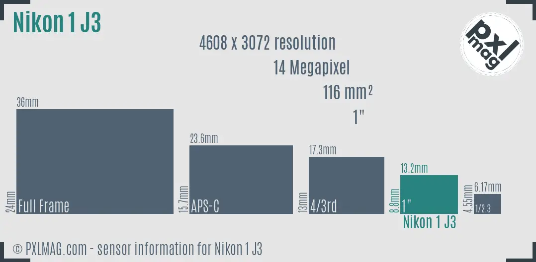 Nikon 1 J3 sensor size