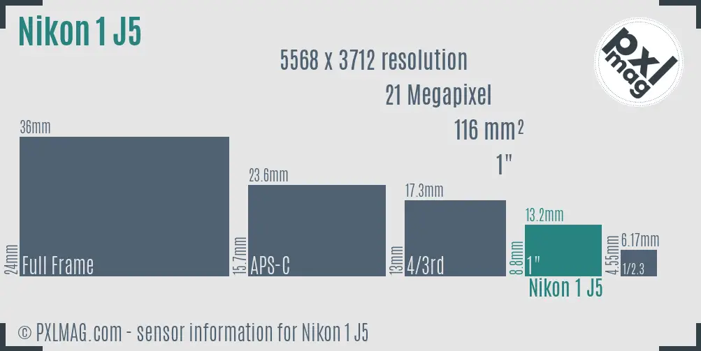Nikon 1 J5 sensor size