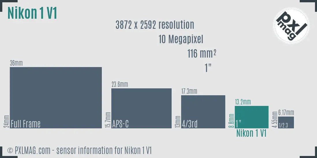 Nikon 1 V1 sensor size