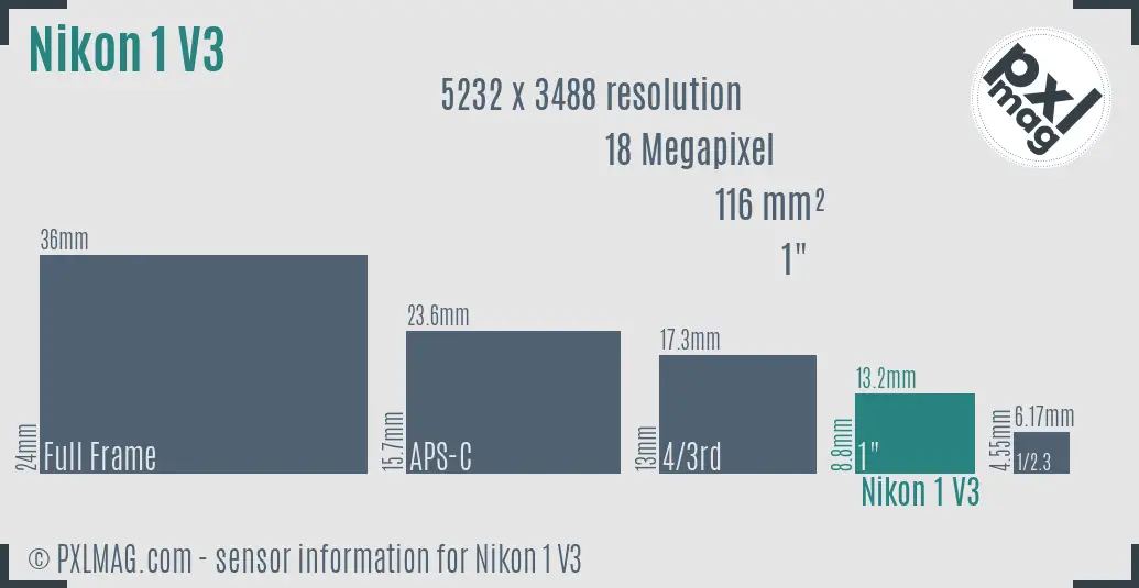 Nikon 1 V3 sensor size