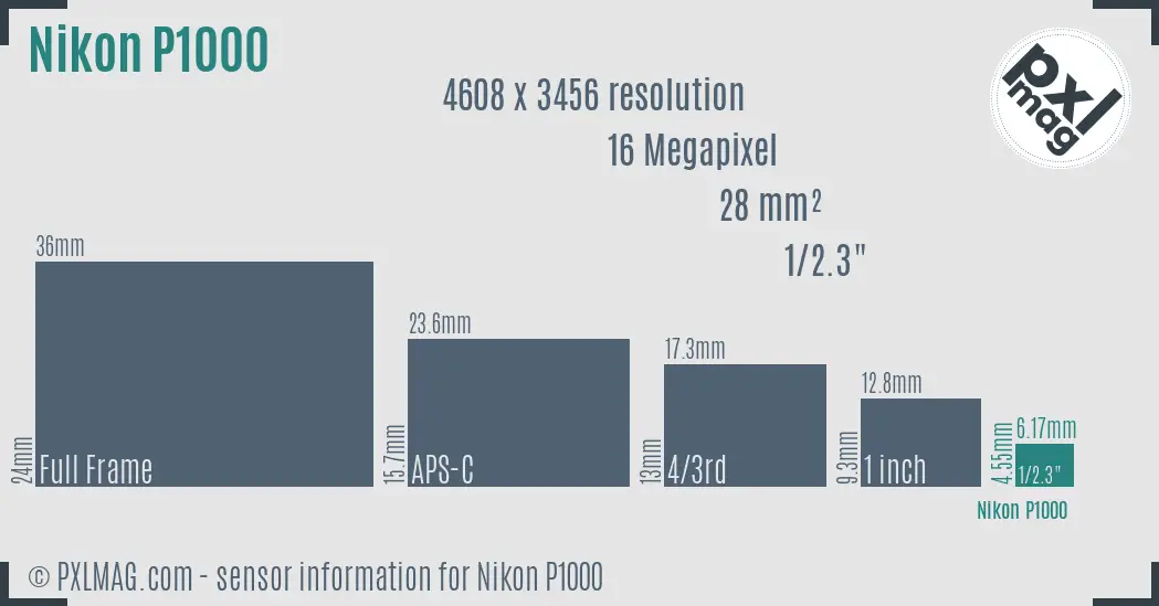 Nikon Coolpix P1000 sensor size
