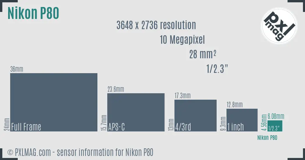 Nikon Coolpix P80 sensor size