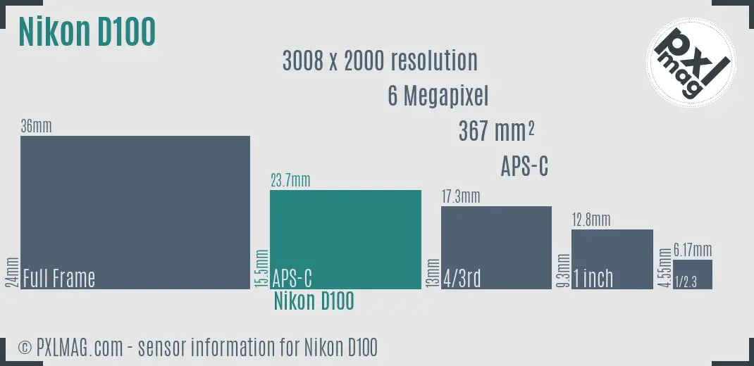 Nikon D100 sensor size