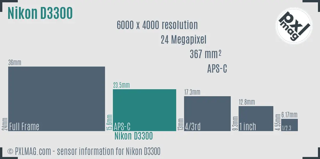 Nikon D3300 sensor size