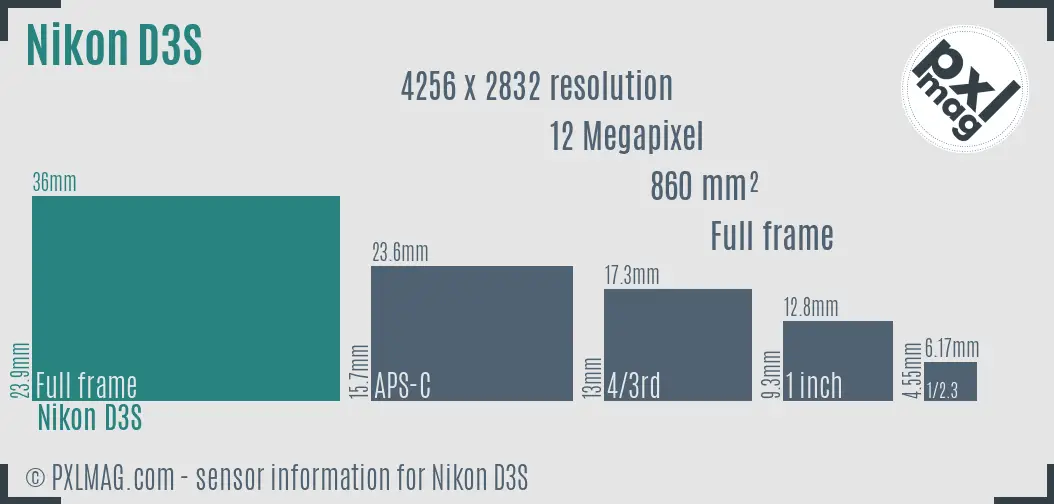 Nikon D3S sensor size