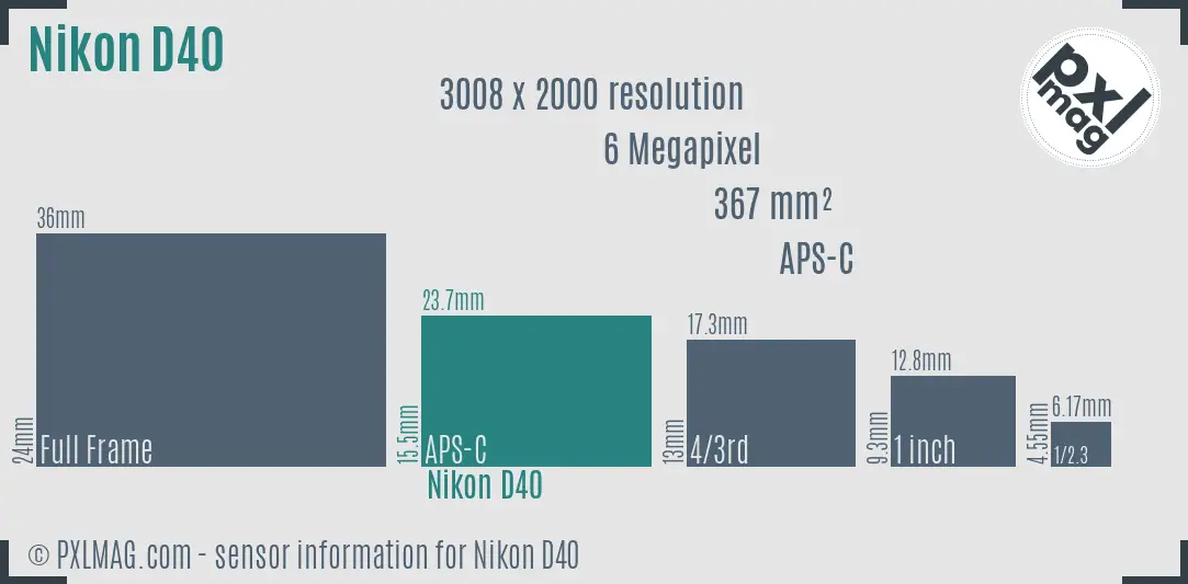 Nikon D40 sensor size