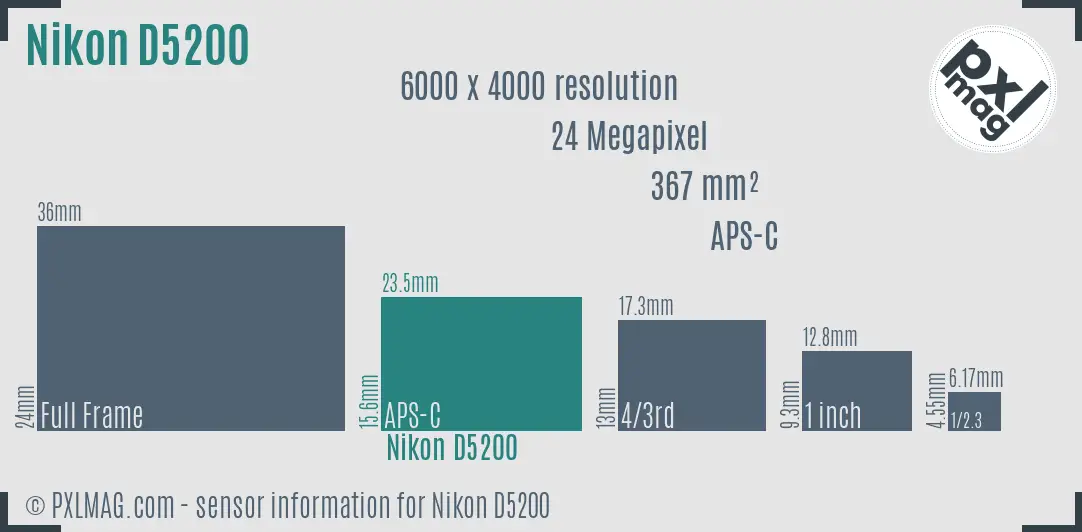 Nikon D5200 sensor size