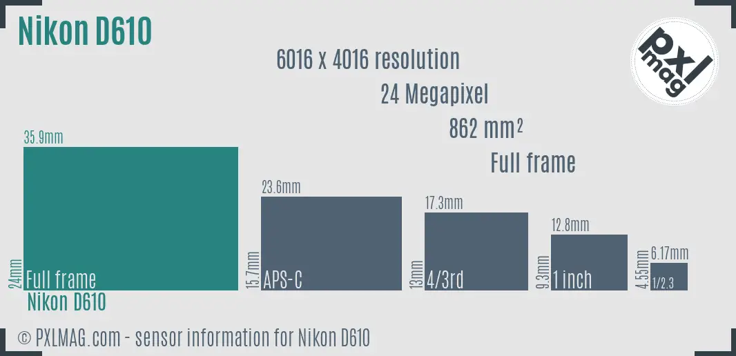 Nikon D610 sensor size