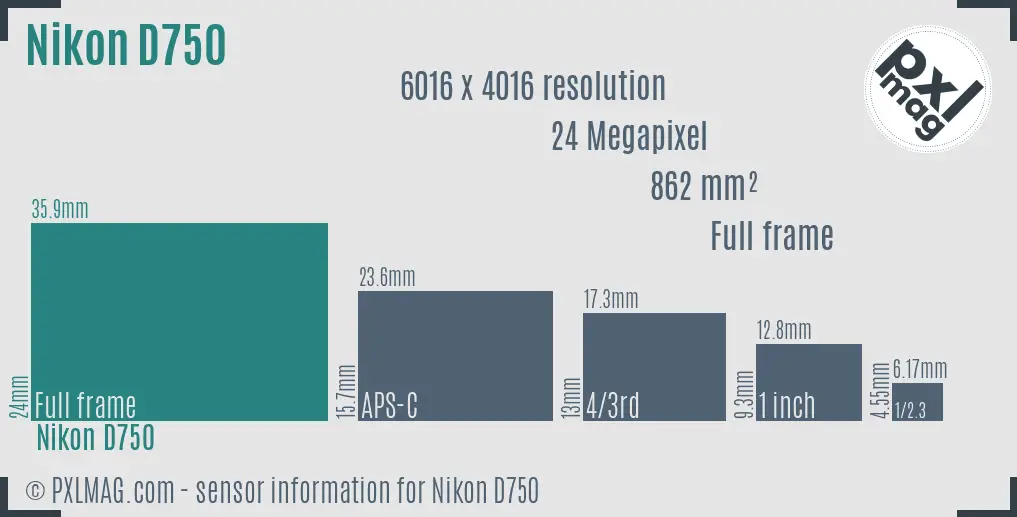 Nikon D750 sensor size