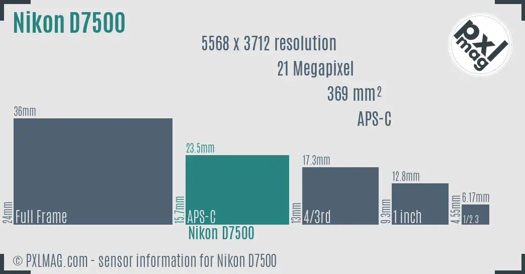 Nikon D7500 sensor size