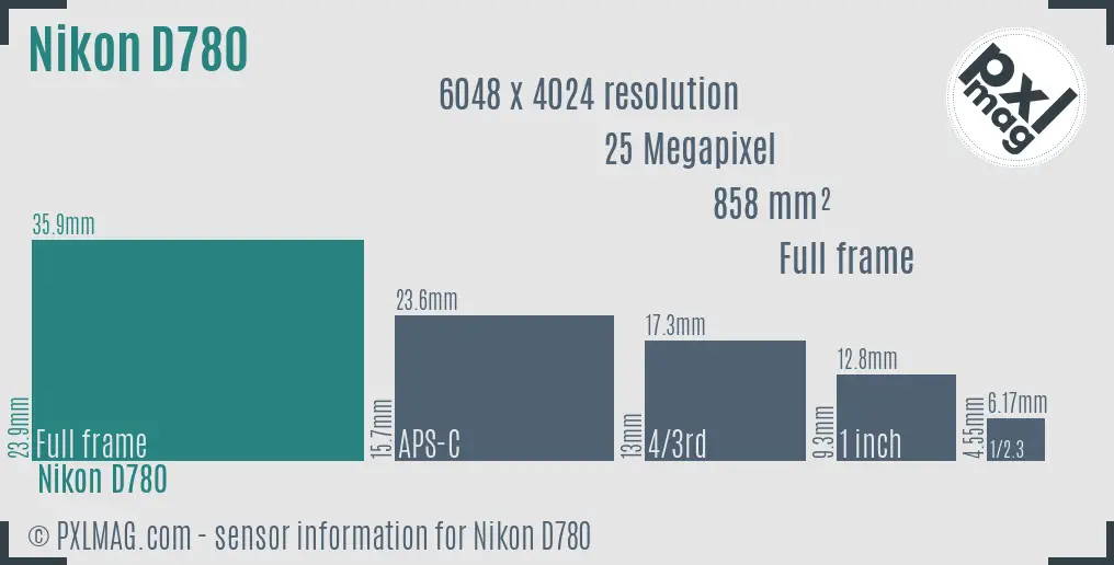 Nikon D780 sensor size