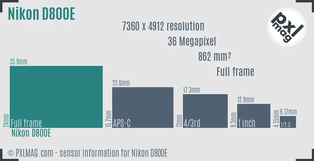 Nikon D800E sensor size