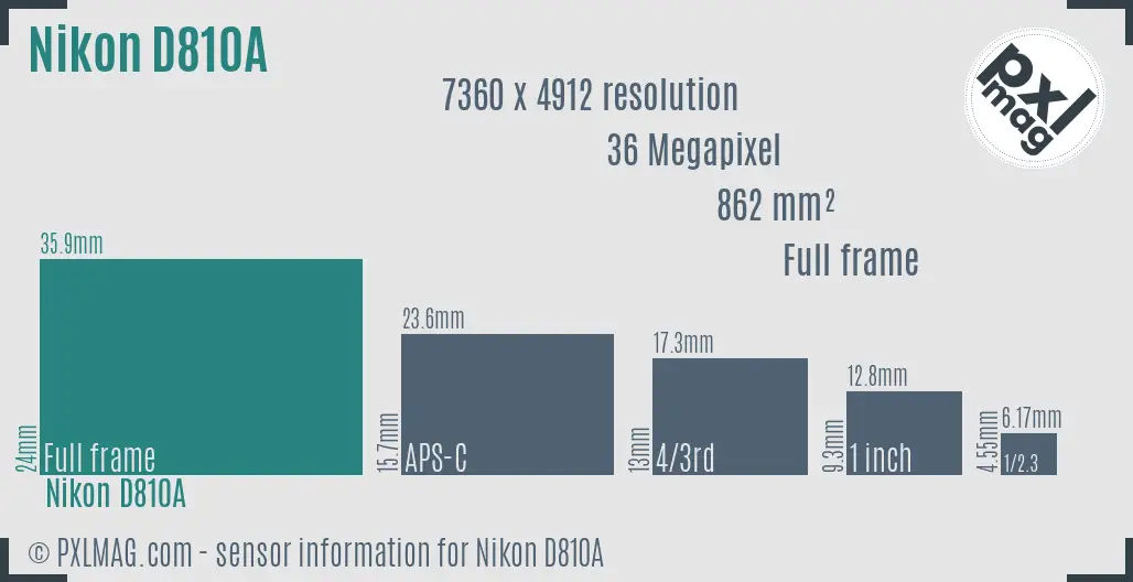 Nikon D810A sensor size