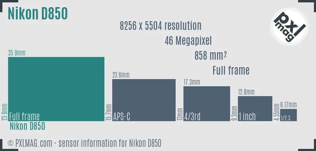 Nikon D850 sensor size