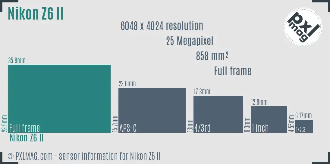 Nikon Z6 Mark II sensor size