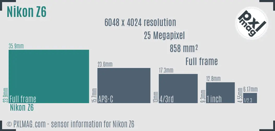 Nikon Z6 sensor size