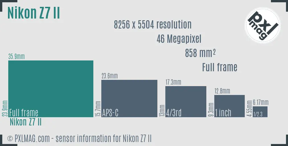 Nikon Z7 Mark II sensor size