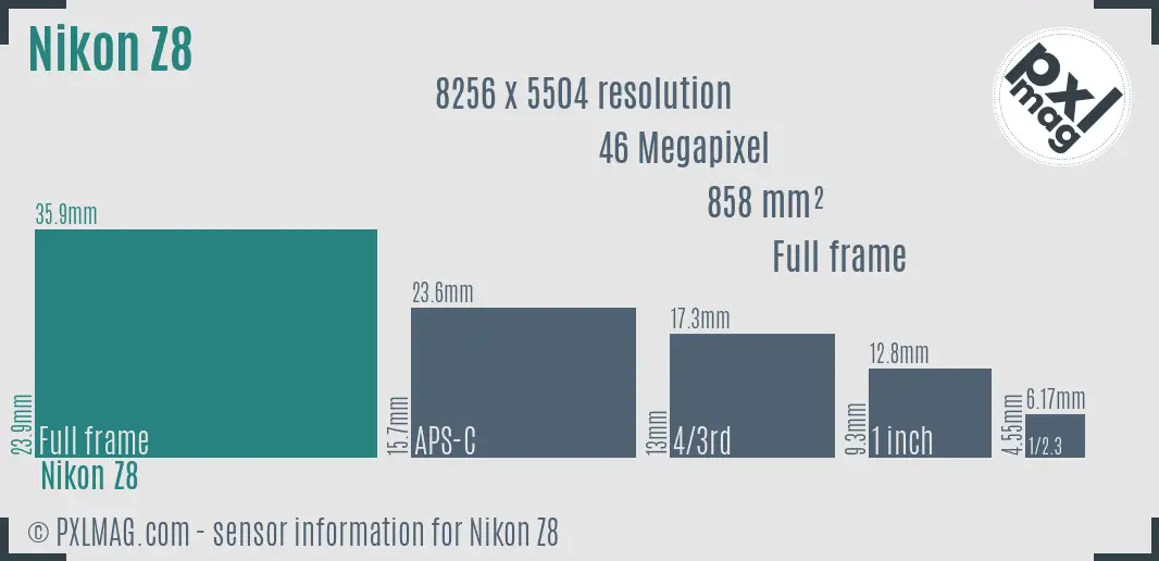 Nikon Z8 sensor size