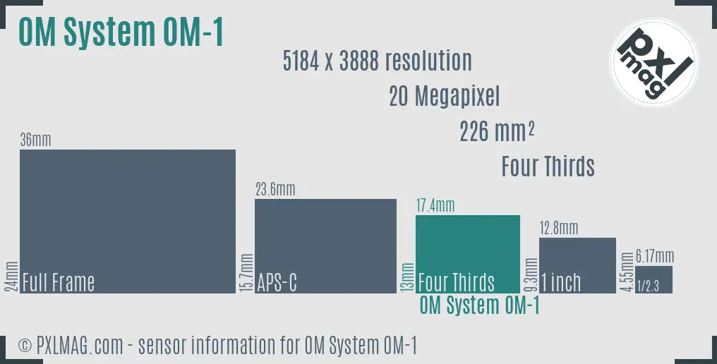 OM System OM-1 sensor size