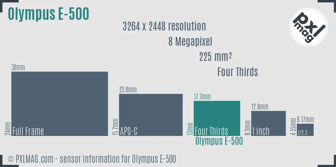 Olympus E-500 sensor size