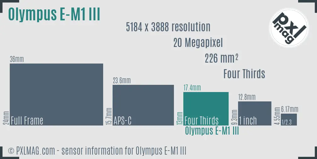 Olympus OM-D E-M1 Mark III sensor size