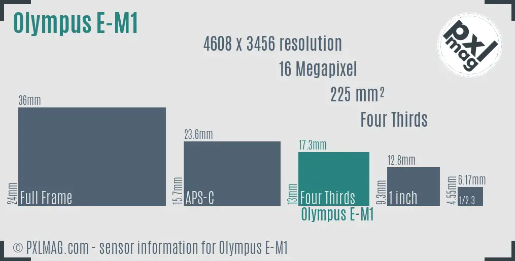 Olympus OM-D E-M1 sensor size