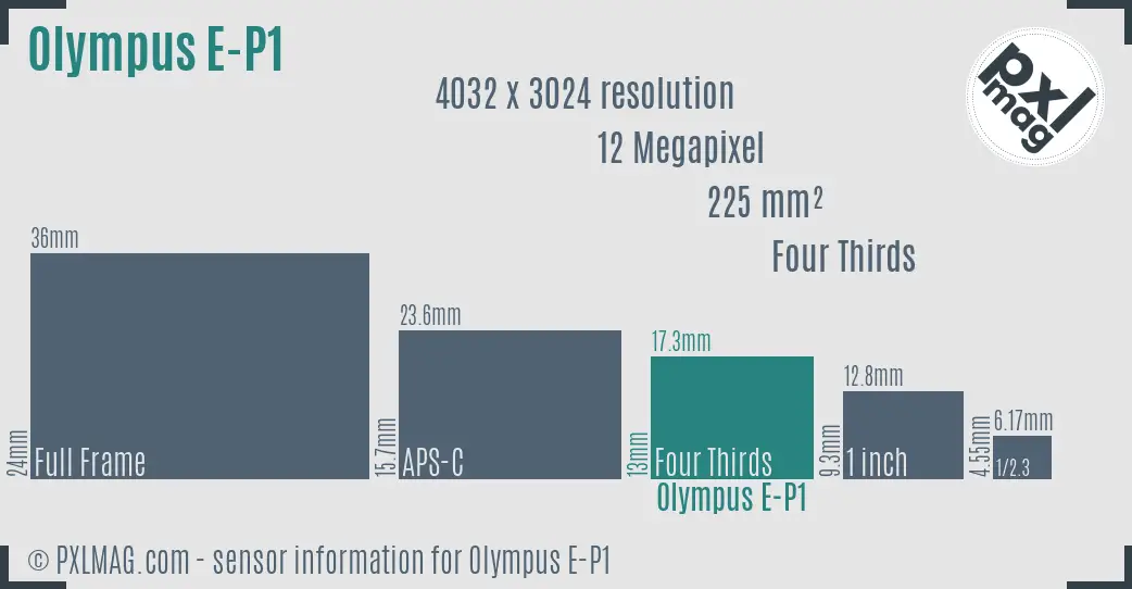 Olympus PEN E-P1 sensor size