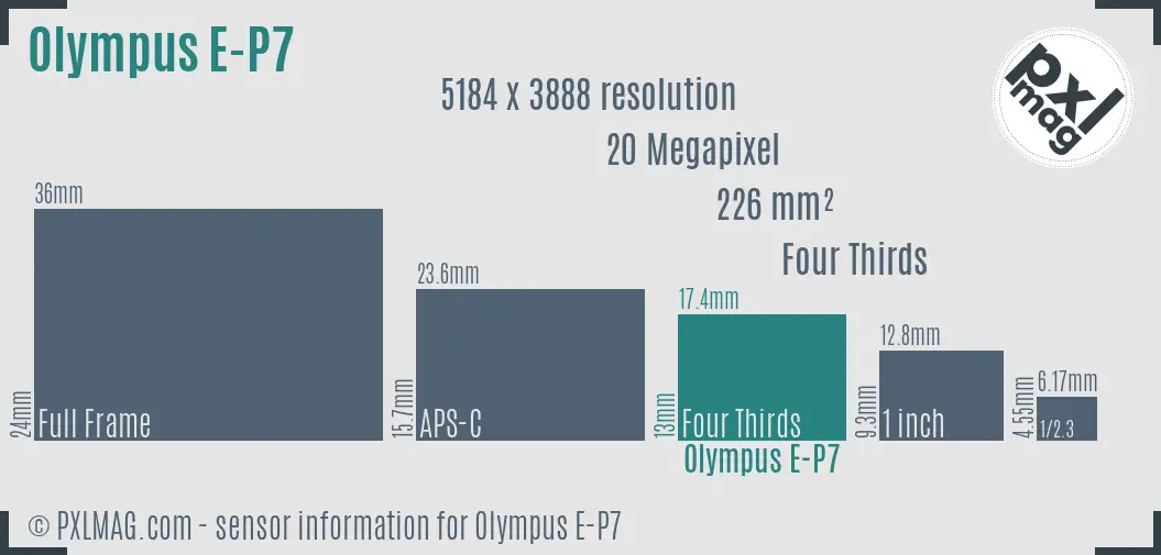 Olympus PEN E-P7 sensor size