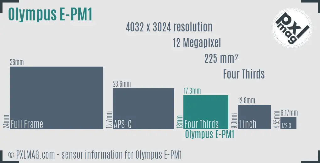 Olympus PEN E-PM1 sensor size