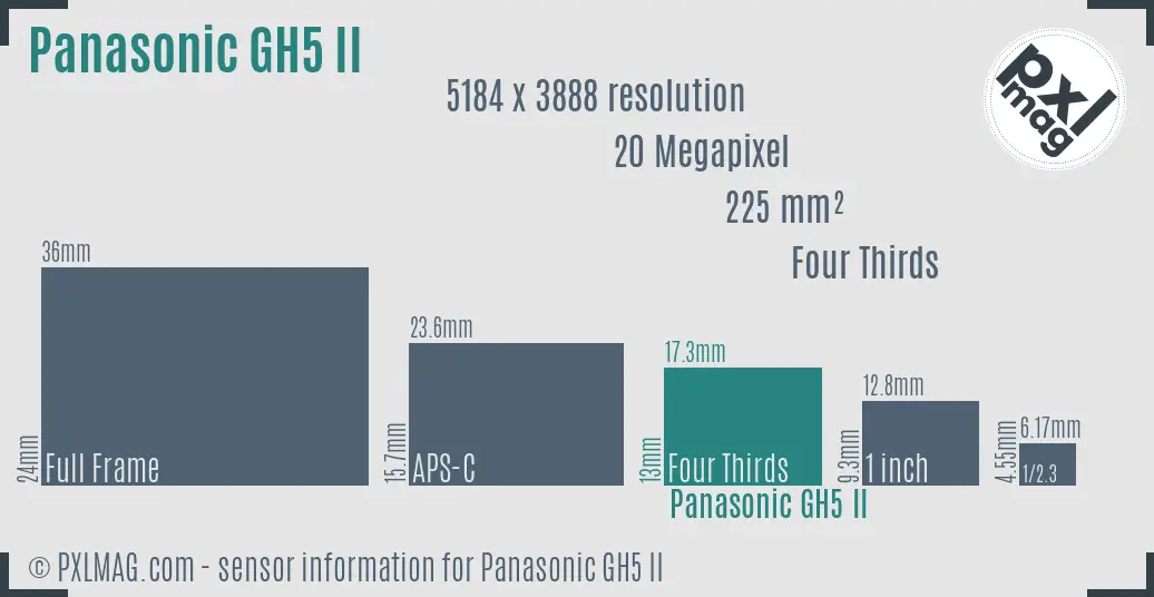 Panasonic Lumix DC-GH5 II sensor size