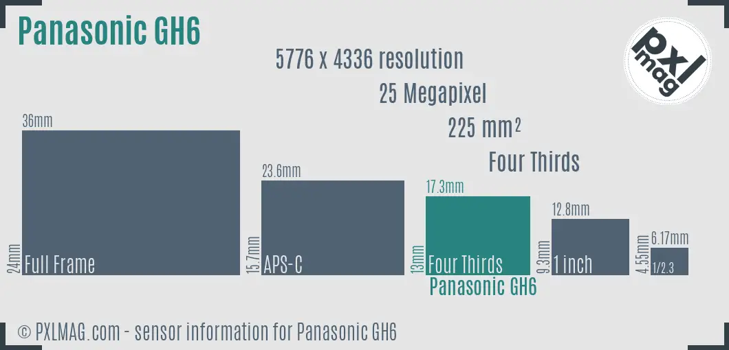 Panasonic Lumix DC-GH6 sensor size