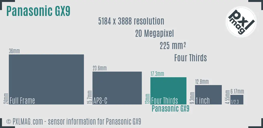 Panasonic Lumix DC-GX9 sensor size