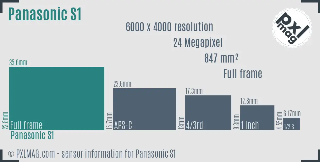 Panasonic Lumix DC-S1 sensor size