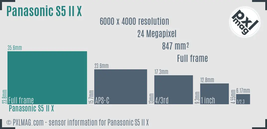 Panasonic Lumix DC-S5 Mark II X sensor size