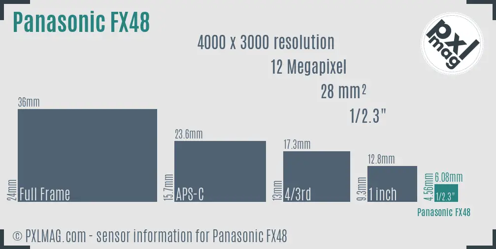 Panasonic Lumix DMC-FX48 sensor size