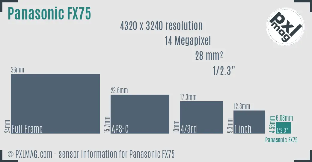 Panasonic Lumix DMC-FX75 sensor size